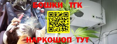 гашик Камышлов