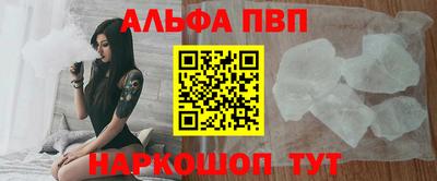 гашик Камышлов