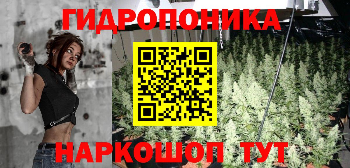 Марихуана Amnesia  Канабис марихуана  Сыктывкар  Бошки марихуана SATIVA & INDICA  Вход с VPN 